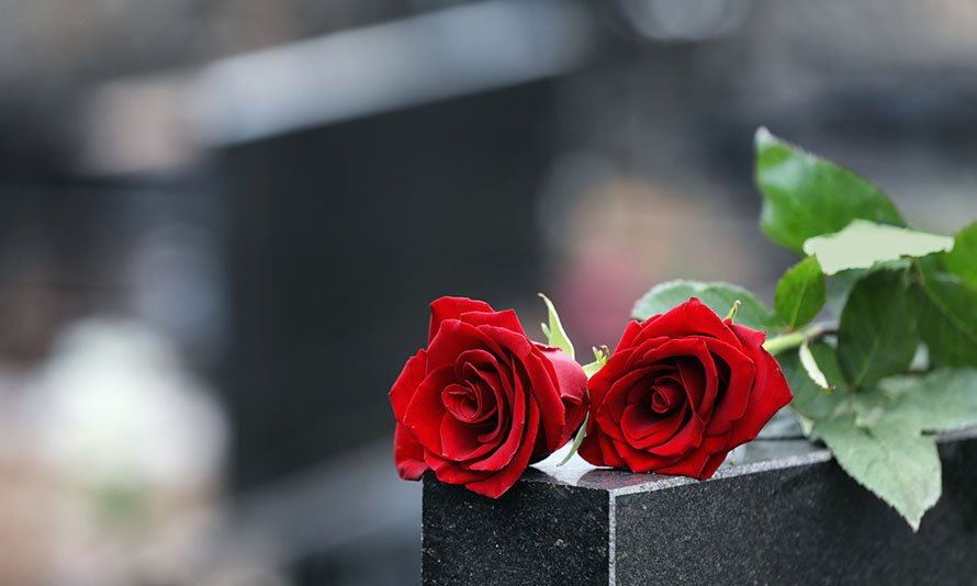 bronx wrongful death